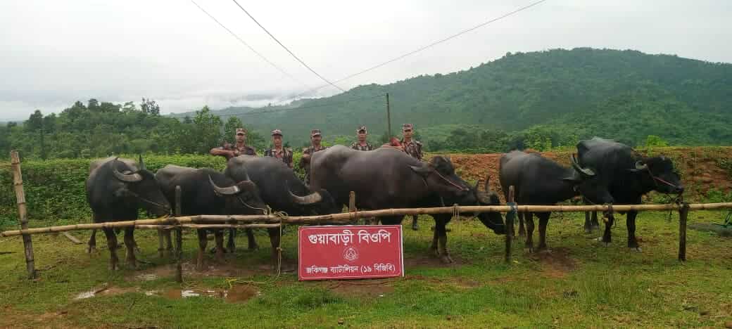 কানাইঘাট সীমান্তে ২০ লাখ টাকার ভারতীয় চোরাচালানী মালামাল জব্দ