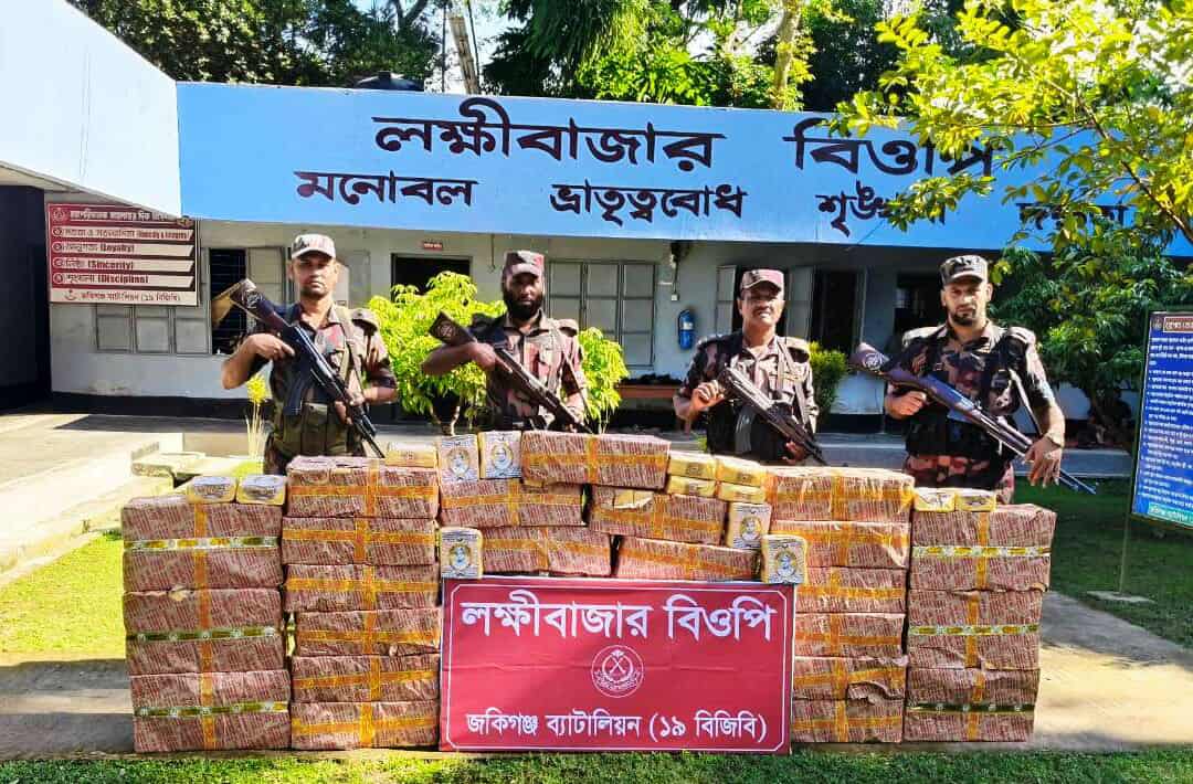 সিলেটে বিজিবির অভিযানে ভারতীয় গরু-মহিষসহ অবৈধ মালামাল জব্দ