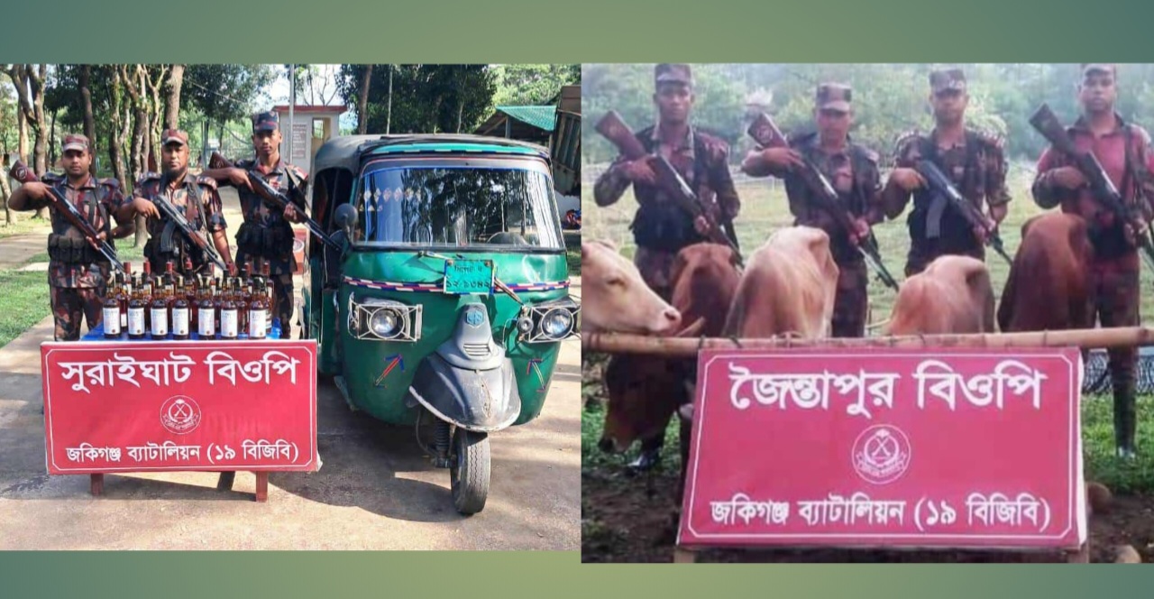 জৈন্তাপুর কানাইঘাটে বিজিবির অভিযানে ১০ লাখ টাকার মদ ও গরু জব্দ