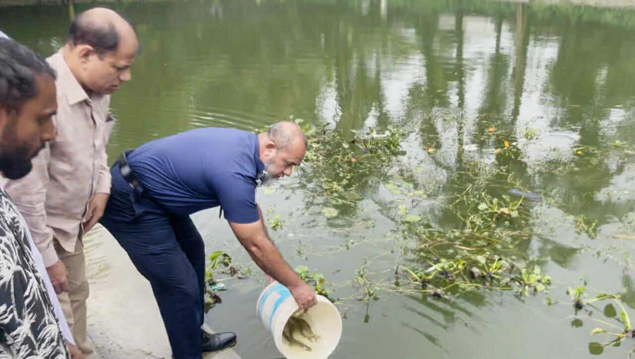 ছাতকের তারা বিলের মুক্ত জলাশয়ে পোনা মাছ অবমুক্ত