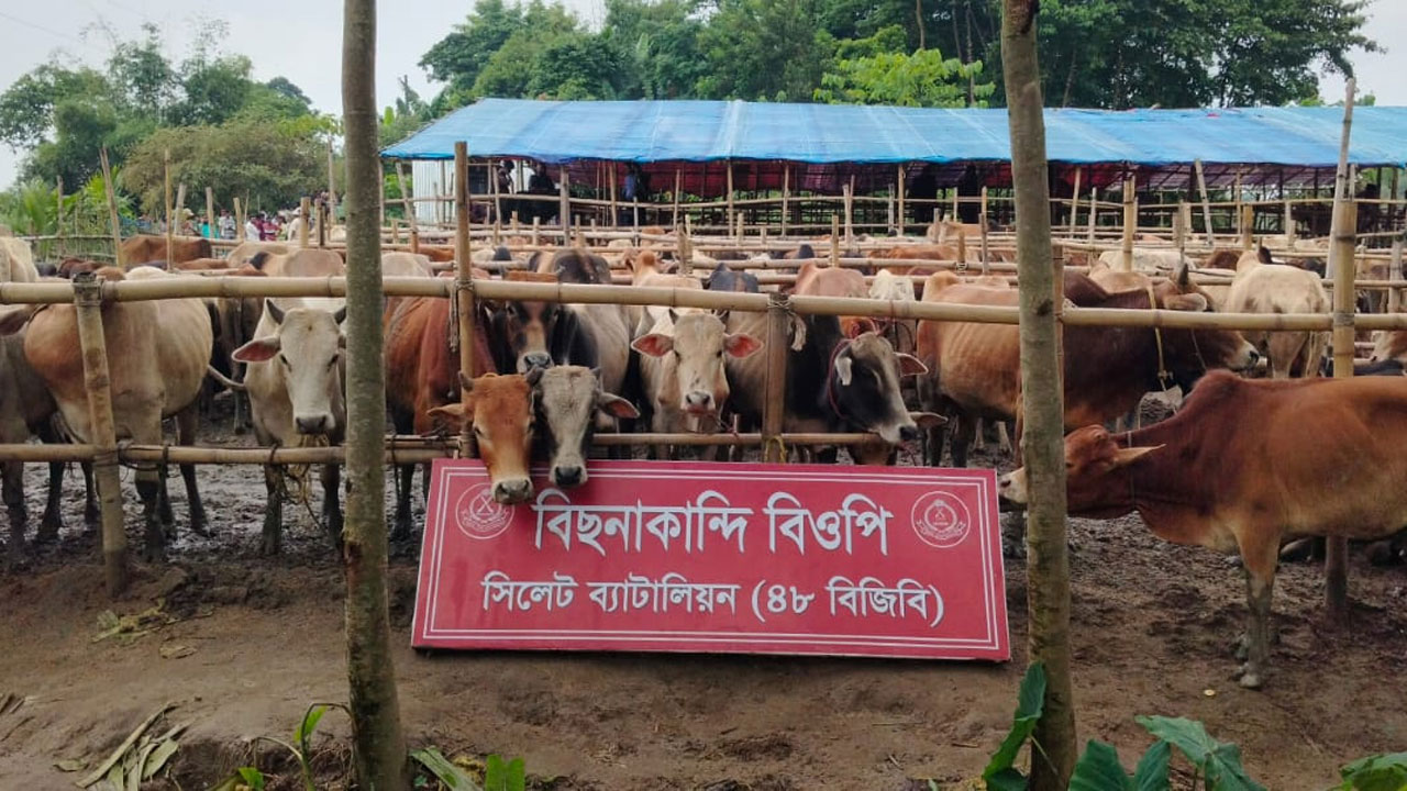 সিলেট সীমান্তে বড় চোরাচালান জব্দ