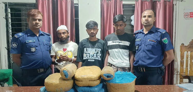 বাহুবলে গাঁজাসহ ৩ মাদক কারবারি গ্রেপ্তার