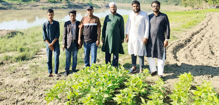 জকিগঞ্জের স্বপ্ন আর পরিশ্রমের দৃষ্টান্ত লিমনের সবজি বাগান