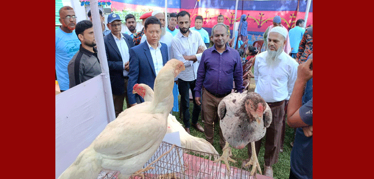 জৈন্তাপুরে প্রানীসম্পদ সপ্তাহ ও প্রদর্শনী -২০২৫ উদ্বোধন