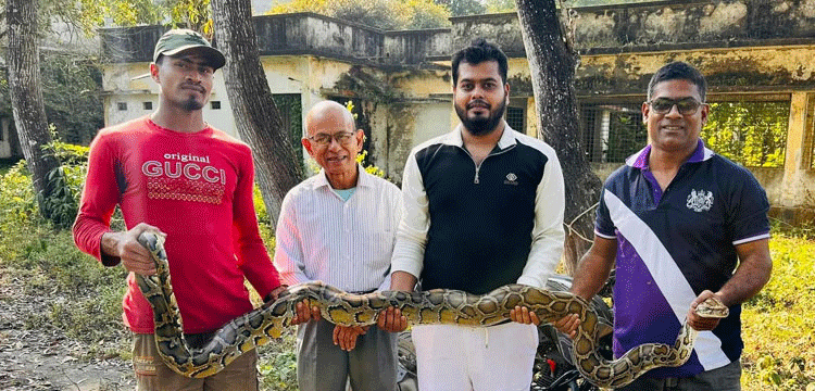 শ্রীমঙ্গলে লোকালয় থেকে ১২ ফুটের অজগর উদ্ধার