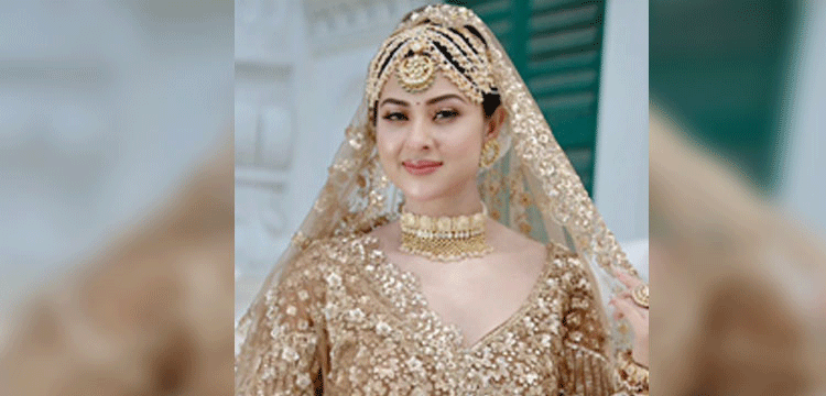 রানির বেশে নজর কাড়লেন বুবলী