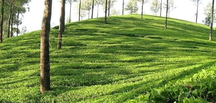 পর্যটনের অগাধ সম্ভাবনা থাকলেও উন্নয়নবঞ্চিত জুড়ী