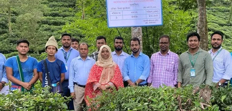 জুড়ীতে সরকারি জমি দখলমুক্ত ও সাইনবোর্ড স্থাপন