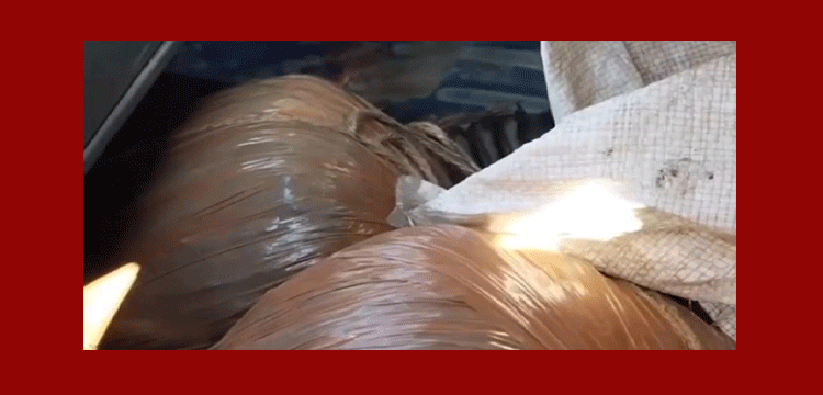 মাধবপুরে গাঁজা বোঝাই পিকআপ ফেলে পালালো পাচারকারী