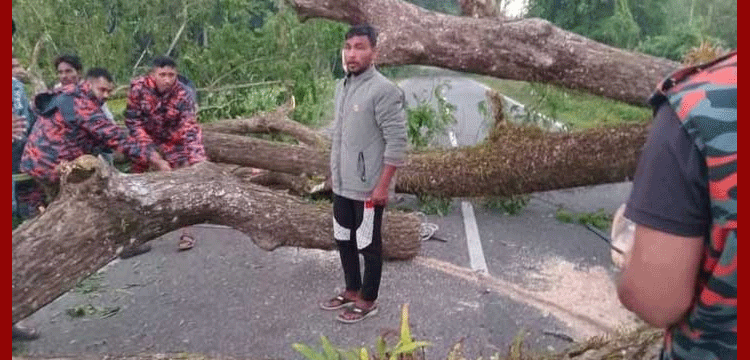 মৌলভীবাজারে সড়কে গাছ ফেলে ৩ ঘণ্টা অবরোধ