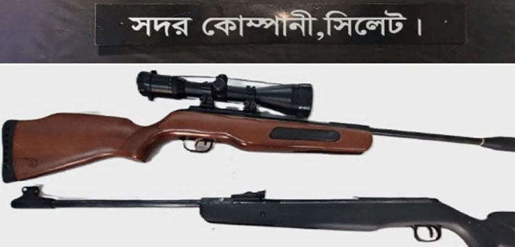 সিলেটে গুলিসহ দুটি বিদেশি অস্ত্র উদ্ধার