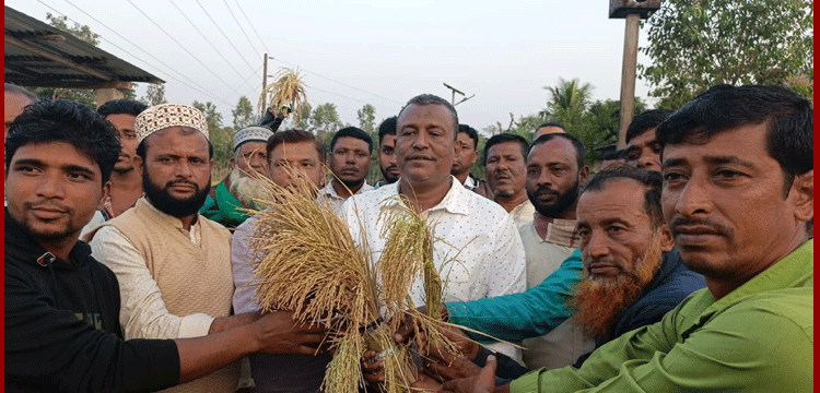 সুনামগঞ্জ-৪ আসনে ধানের শীষের সম্ভাব্য প্রার্থী নুরুল ইসলামের সমাবেশ