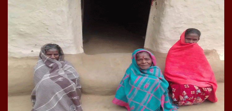 শীতের তীব্রতা বেশি: মৌলভীবাজারে চা শ্রমিকদের দুর্ভোগ,বাড়ছে রোগ-ব্যাধি