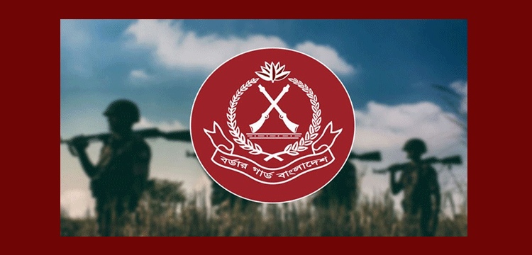 কোম্পানীগঞ্জে বিজিবির ওপর মাদক কারবারিদের হামলা