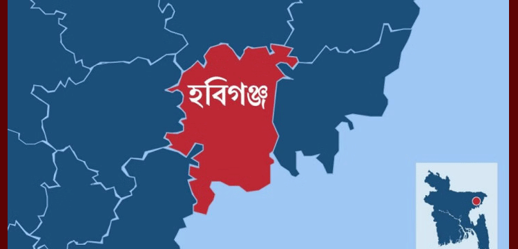 পুর্ব বিরোধের জের : হ‌বিগ‌ঞ্জে দু’পক্ষের সংঘর্ষে আহত ২৫