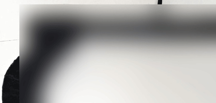 সিলেটে জঙ্গল থেকে আগ্নেয়াস্ত্র উদ্ধার