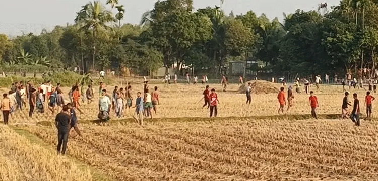 হবিগঞ্জে ধানের খড় শুকানো নিয়ে সংঘর্ষ, আহত ৪০