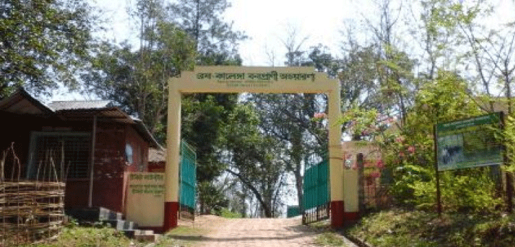 চুনারুঘাটে রেমা কালেঙ্গা ওয়াচটাওয়ারে ঝুকিপূর্ণঃ আতঙ্ক পর্যটকেরা