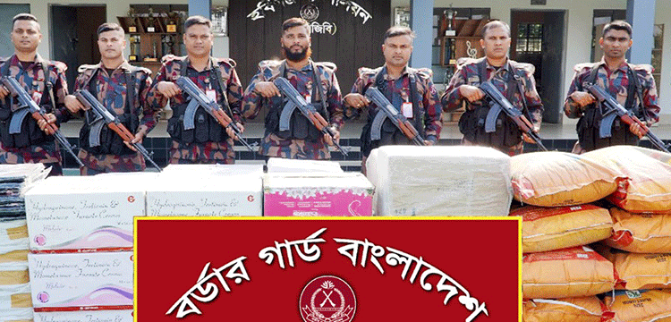 মাধবপুরে সাড়ে তিন কোটি টাকার ভারতীয় পণ্য জব্দ