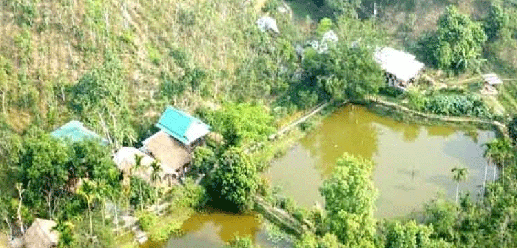চা-বাগান আর নীল আকাশের মেলবন্ধন শ্রীমঙ্গলের রাধানগর
