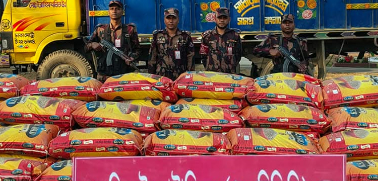 সিলেটে বিজিবির পৃথক অভিযানে সোয়া ১ কোটি টাকার চোরাই মালামাল আটক