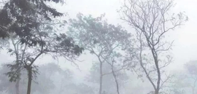 টানা দুই দিন ধরে দেশের সর্বনিম্ন তাপমাত্রা শ্রীমঙ্গলে