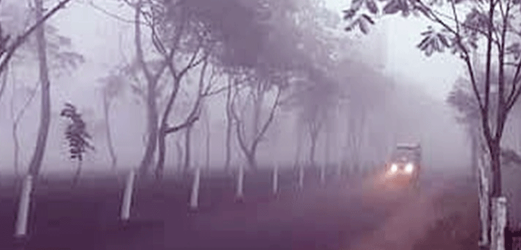 শীতে বিপাকে শ্রীমঙ্গলের দিনমজুর ও চা-শ্রমিকরা