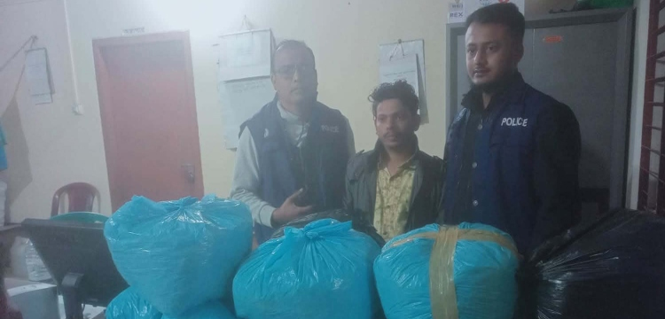 মাধবপুরে বিপুল পরিমাণ গাঁজাসহ মাদক কারবারি গ্রেপ্তার