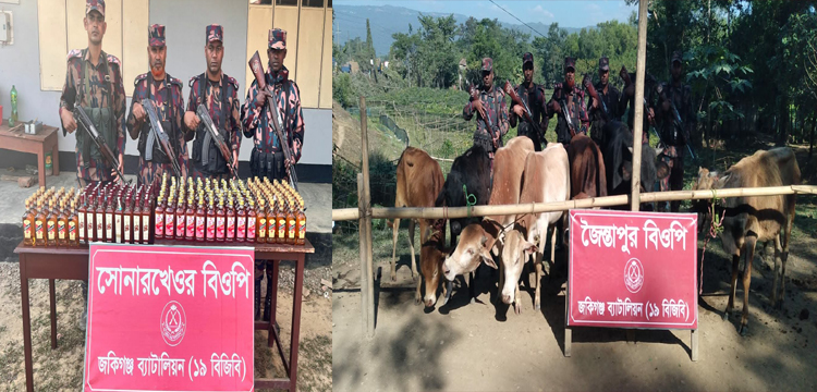 জৈন্তাপুর–কানাইঘাটে ভারতীয় মদ, গরু ও চা–পাতা জব্দ