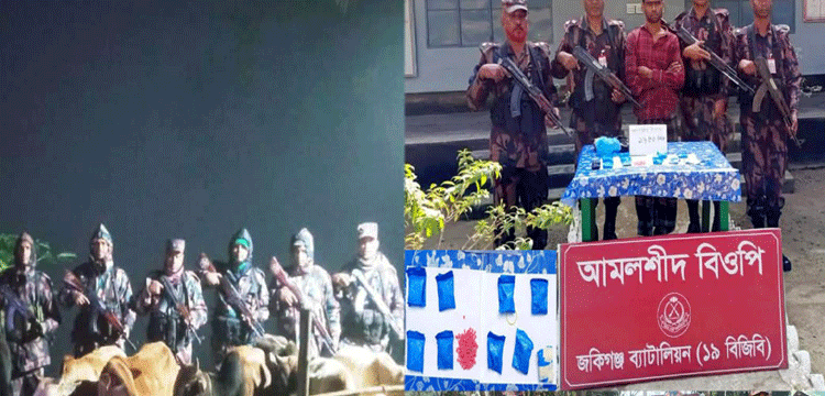সিলেটে বিজিবির অভিযানে ১৬ লাখ টাকার ইয়াবা ও চোরাচালানি মালামাল আটক
