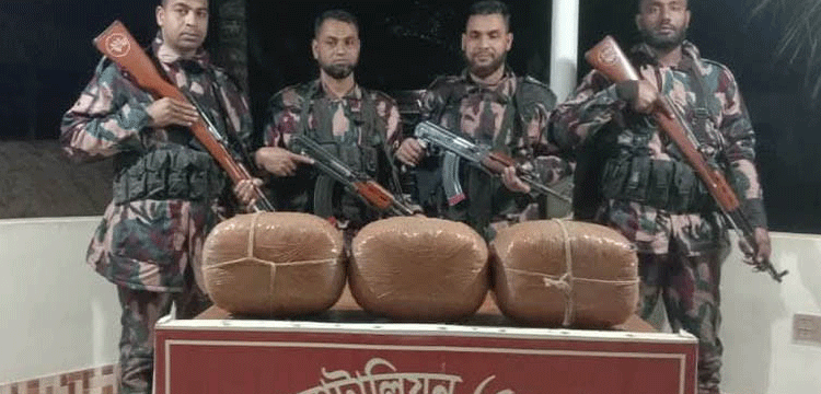 চুনারুঘাট সীমান্তে ভারতীয় গাঁজা জব্দ