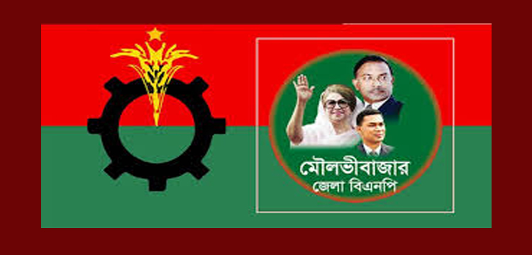 মৌলভীবাজারে বিএনপির ১০ নেতাকে অব্যাহতি