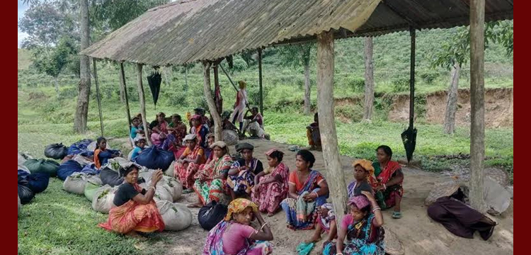 ‌’গণভোট খায়, না মাথায় দ্যায়’