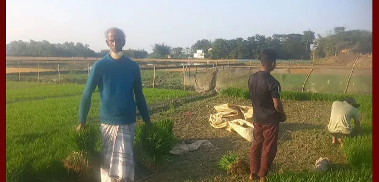 মৌলভীবাজারে খাল দখল : কৃষিজমিতে যাচ্ছে না পানি, সংকটে চাষিরা
