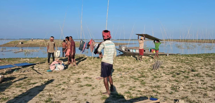 ধর্মপাশায় সরকারি জলমহাল থেকে লাখ-লাখ টাকার মাছ লুট