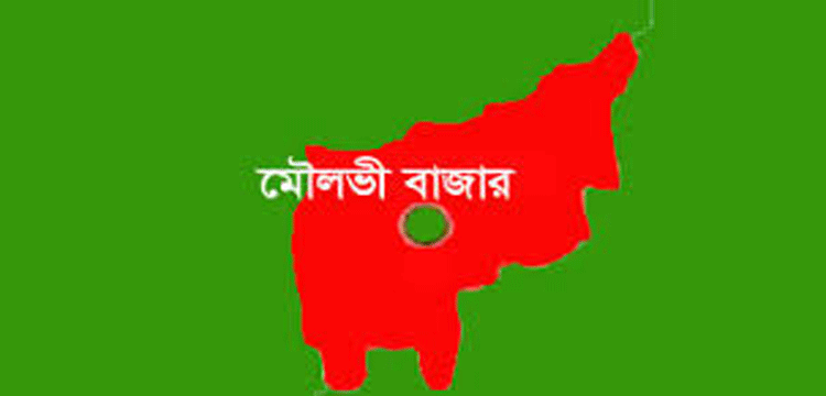 মৌলভীবাজারে বস্তা মোড়ানো এয়ারগান ও গুলি উদ্ধার