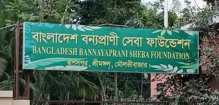 শ্রীমঙ্গলে গত এক বছরে ৬৭ টি বন্যপ্রাণী উদ্ধার