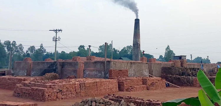 হবিগঞ্জে অবৈধভাবে চলছে ৮৯ ইটভাটা, নির্বিকার প্রশাসন