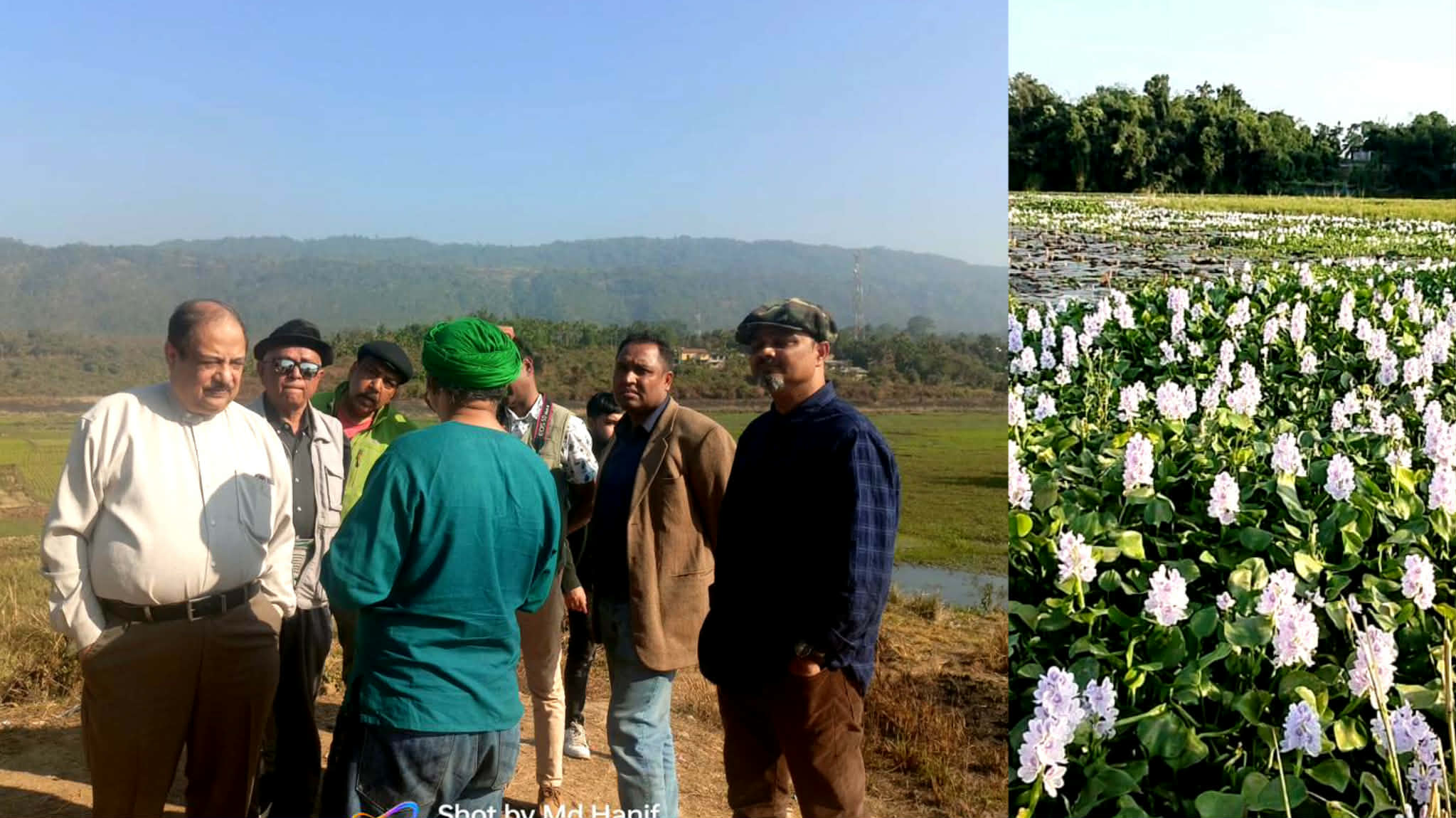 কচুরিপানার আগ্রাসনে শাপলার বিলের সৌন্দর্য হুমকিতে- পরিবেশ সংগঠকদের পরিদর্শন
