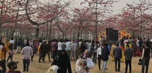 বসন্ত বরণে শিমুল বাগানে মানুষের ঢল