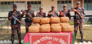 মাধবপুর সীমান্তে বিজিবির অভিযানে বিপুল পরিমাণ গাঁজা জব্দ